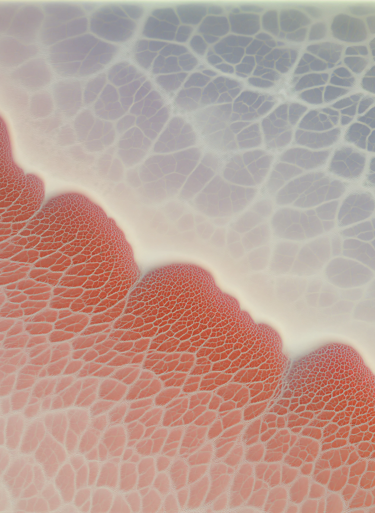 Composición abstracta inspirada en tejidos y biología